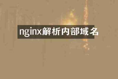 nginx解析内部域名