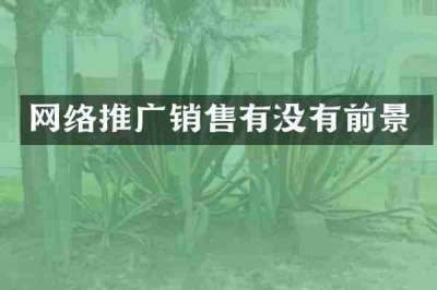 网络推广销售有没有前景