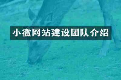 小微网站建设团队介绍