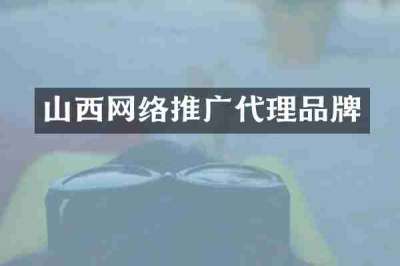 山西网络推广代理品牌