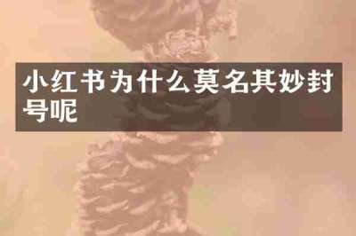小红书为什么莫名其妙封号呢