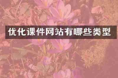 优化课件网站有哪些类型