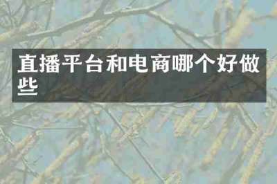 直播平台和电商哪个好做些