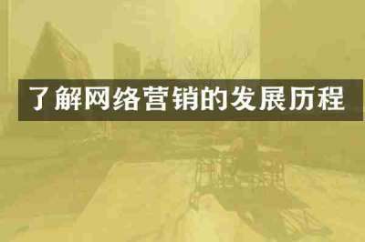了解网络营销的发展历程