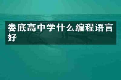 娄底高中学什么编程语言好