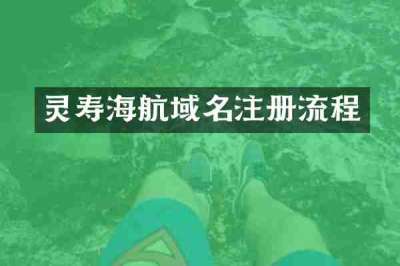 灵寿海航域名注册流程