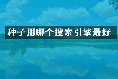 种子用哪个搜索引擎最好