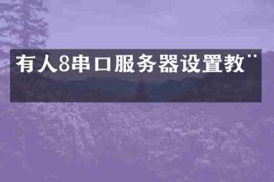 有人8串口服务器设置教程