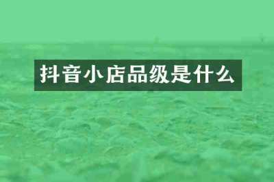 抖音小店品级是什么