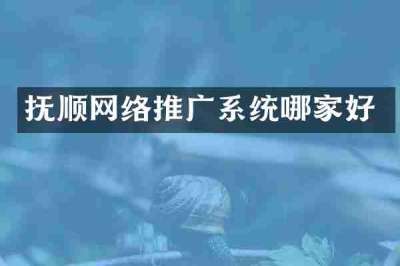 抚顺网络推广系统哪家好