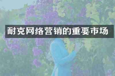 耐克网络营销的重要市场