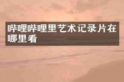 哔哩哔哩里艺术记录片在哪里看