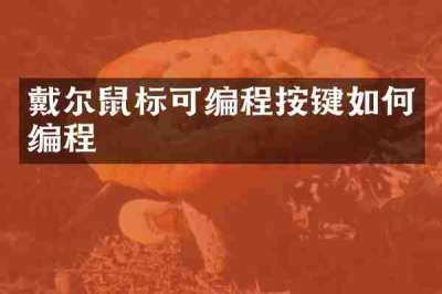 戴尔鼠标可编程按键如何编程