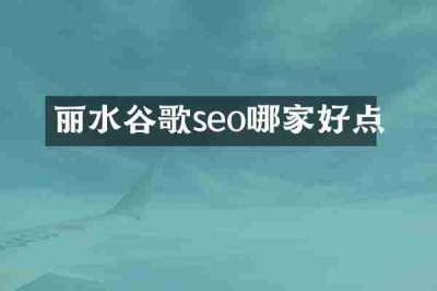 丽水谷歌seo哪家好点