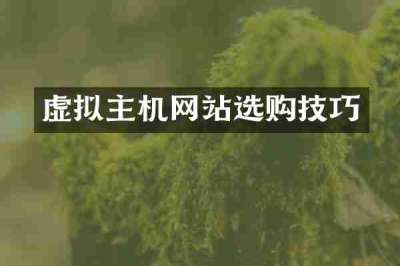 虚拟主机网站选购技巧