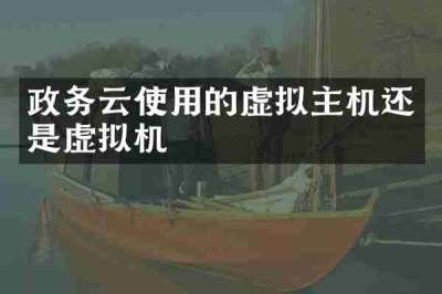 政务云使用的虚拟主机还是虚拟机