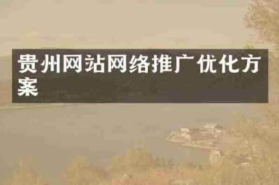 贵州网站网络推广优化方案