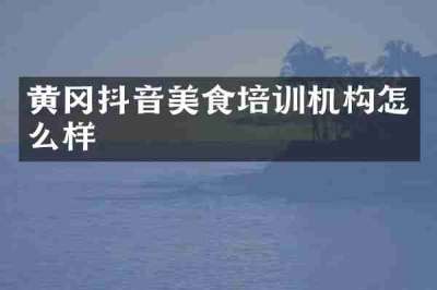 黄冈抖音美食培训机构怎么样