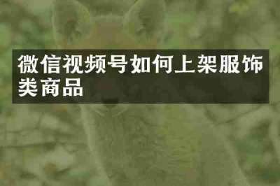 微信视频号如何上架服饰类商品