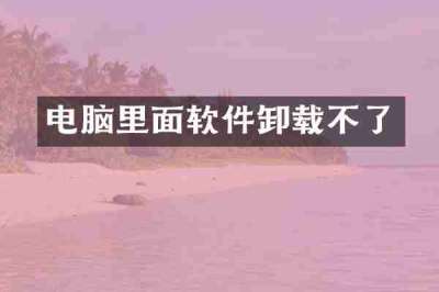 电脑里面软件卸载不了