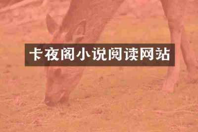 卡夜阁小说阅读网站