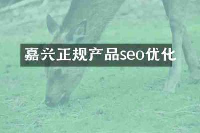 嘉兴正规产品seo优化