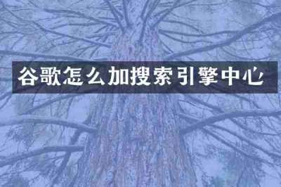 谷歌怎么加搜索引擎中心