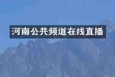 河南公共频道在线直播