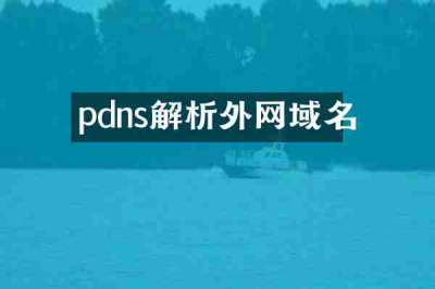 pdns解析外网域名