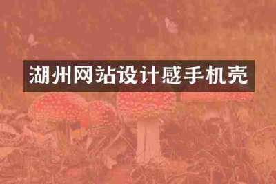 湖州网站设计感手机壳