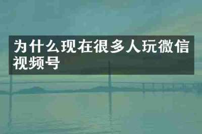 为什么现在很多人玩微信视频号