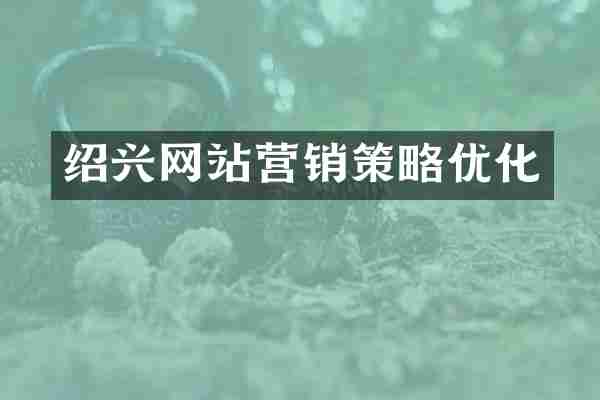 绍兴网站营销策略优化