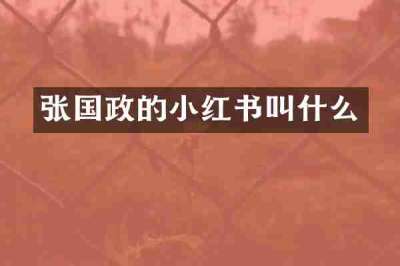 张国政的小红书叫什么