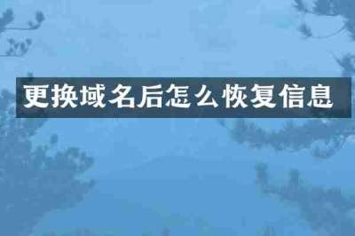 更换域名后怎么恢复信息