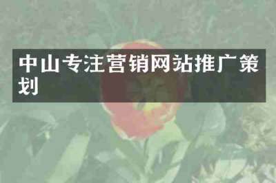 中山专注营销网站推广策划