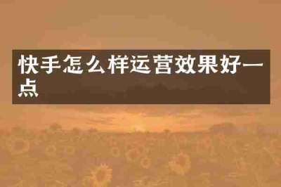 快手怎么样运营效果好一点
