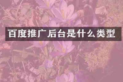 百度推广后台是什么类型