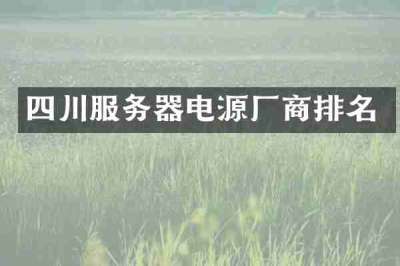 四川服务器电源厂商排名