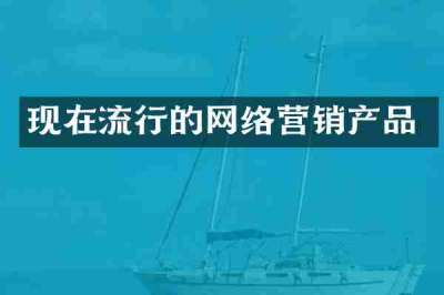 现在流行的网络营销产品
