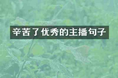辛苦了优秀的主播句子