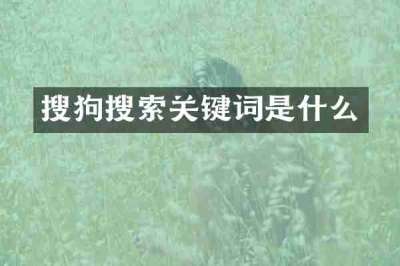 搜狗搜索关键词是什么