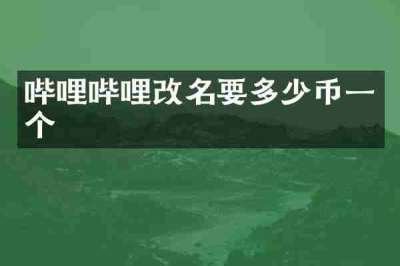 哔哩哔哩改名要多少币一个