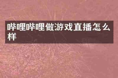 哔哩哔哩做游戏直播怎么样