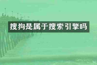 搜狗是属于搜索引擎吗