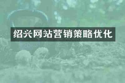 绍兴网站营销策略优化