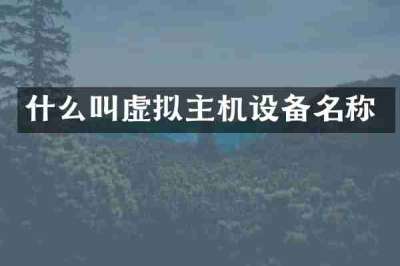 什么叫虚拟主机设备名称