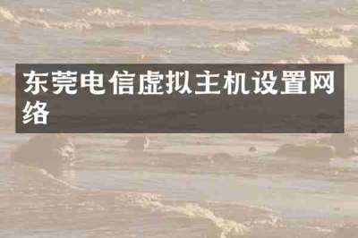东莞电信虚拟主机设置网络