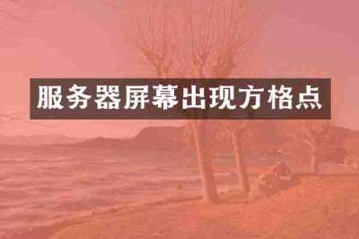 服务器屏幕出现方格点