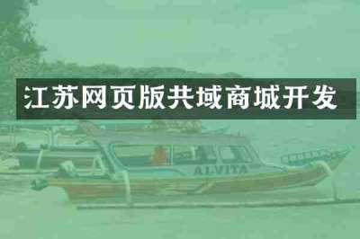 江苏网页版共域商城开发