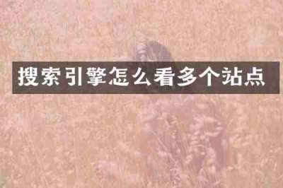 搜索引擎怎么看多个站点